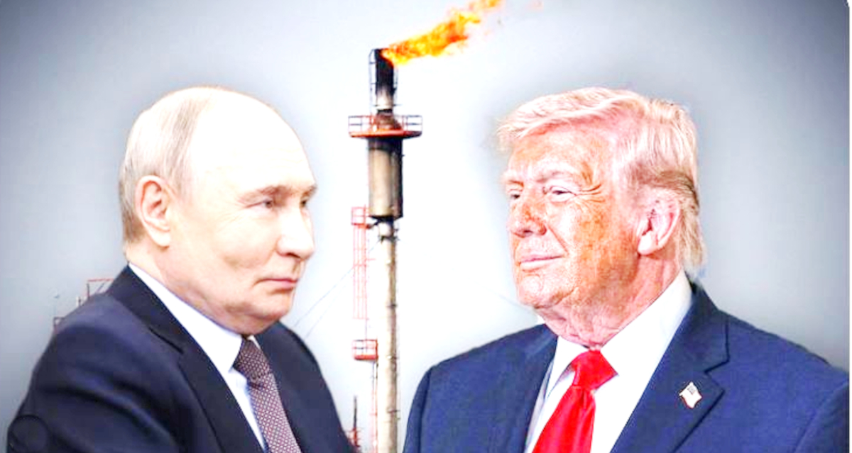Trump And Zelenskyy