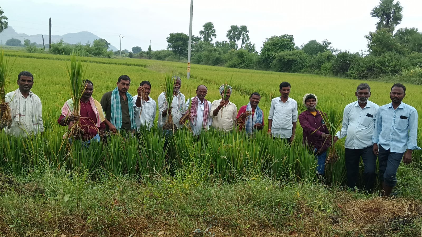 Farmers' anger