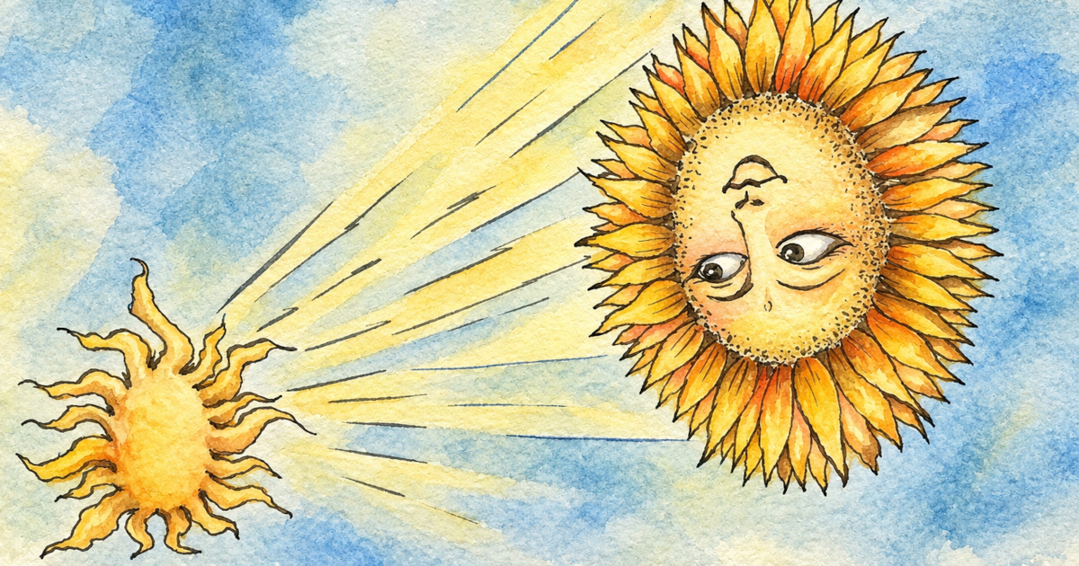 Sunflower