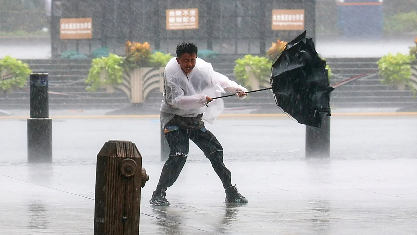 Umbrella