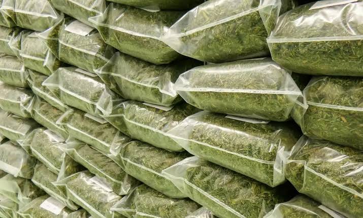 Huge marijuana seizure
