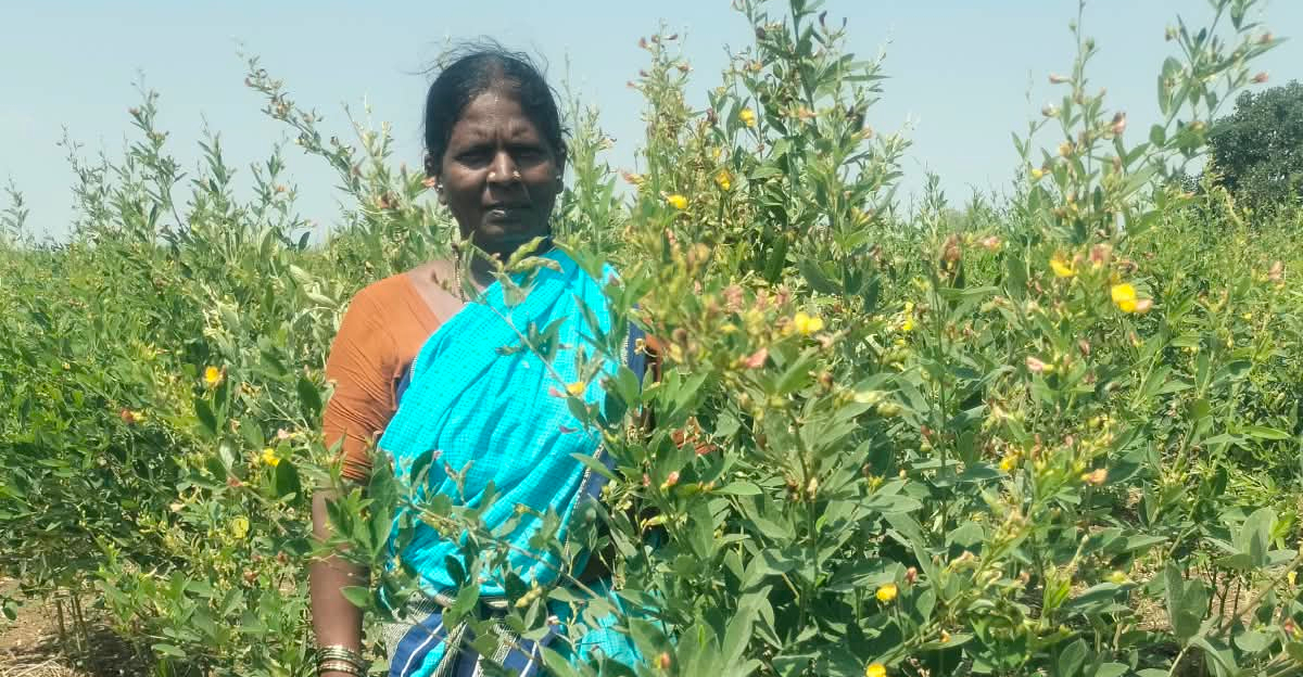 Chandramma