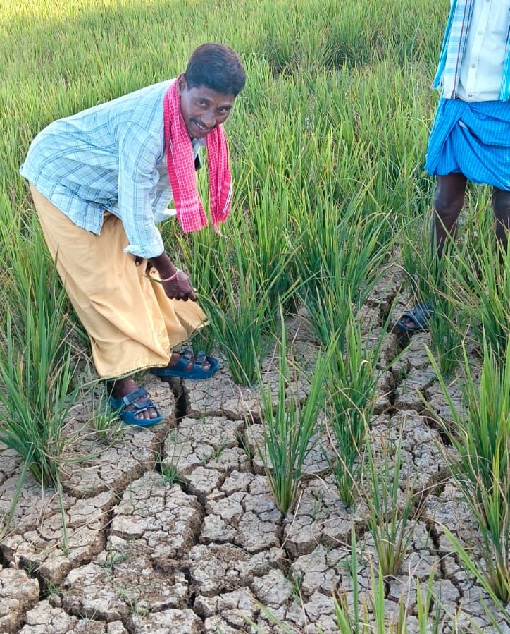 Drought relief