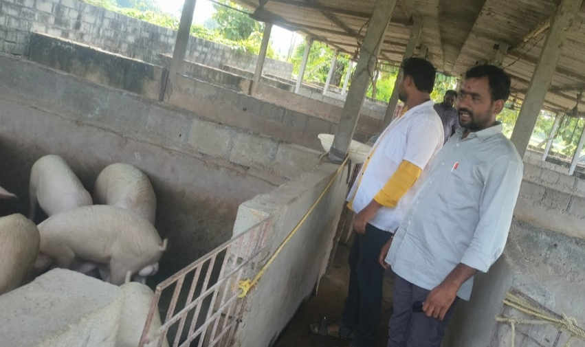 Veterinary camp