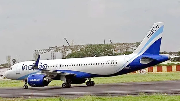 Indigo