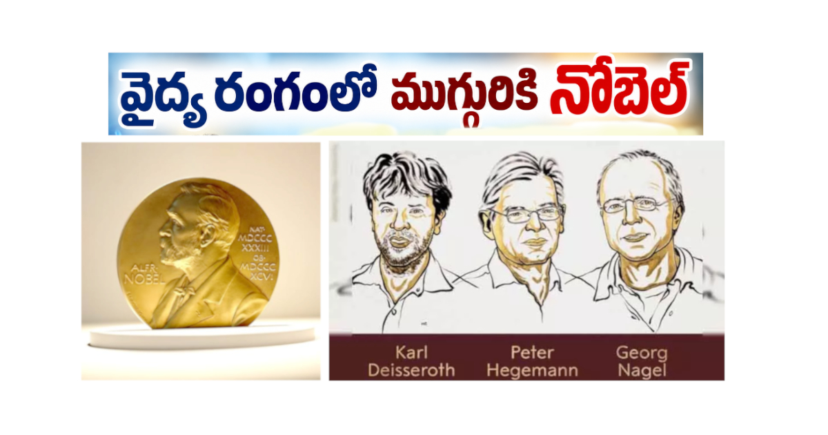 Nobel Prizes