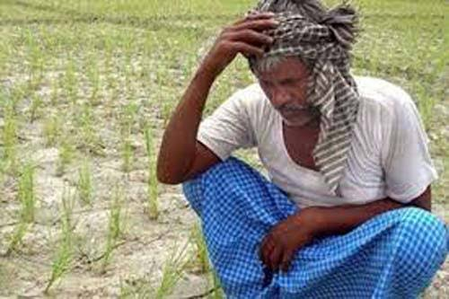 tenant farmer!