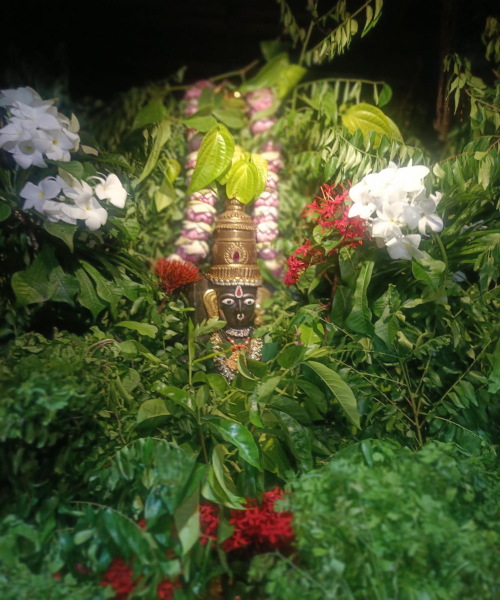 Parvathapur Ammavaru
