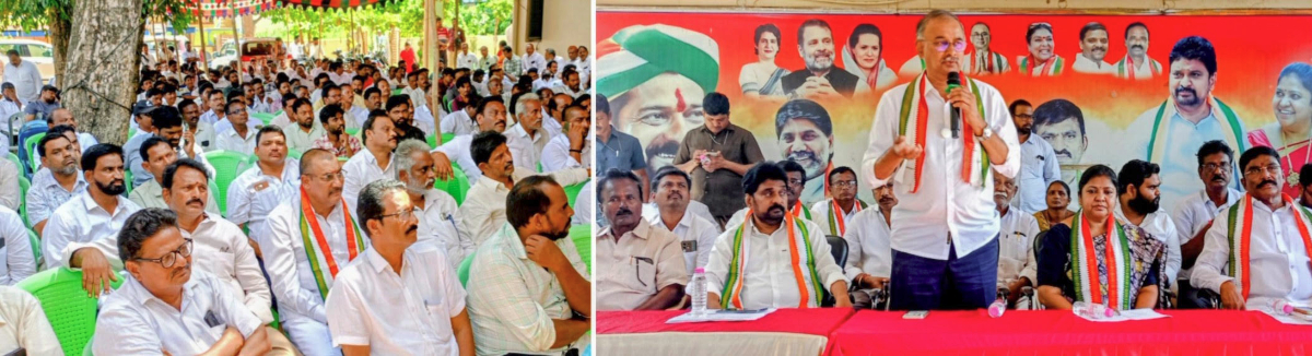 mlc elections
