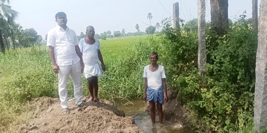 Sewage for crops