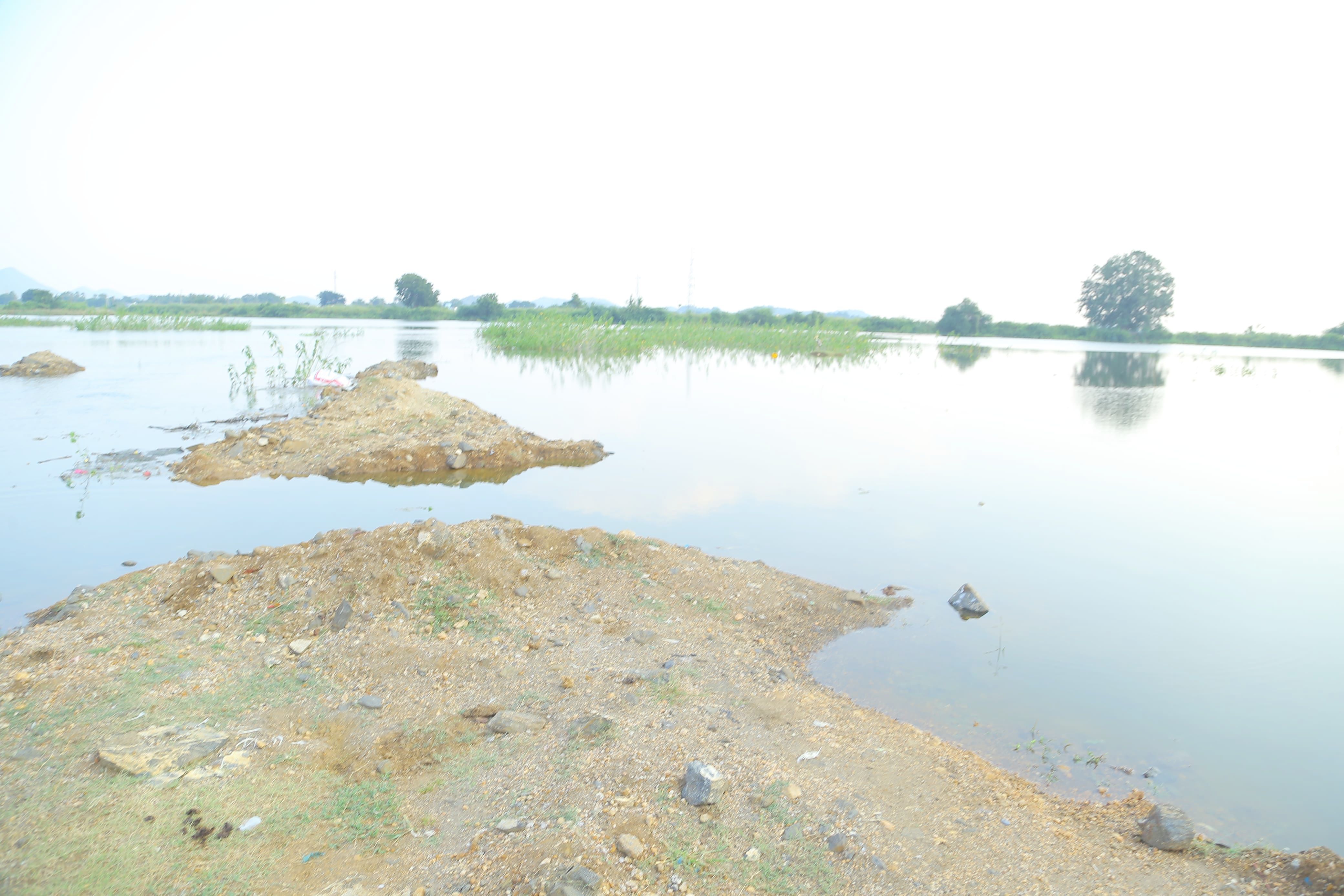 Where are the water riches?