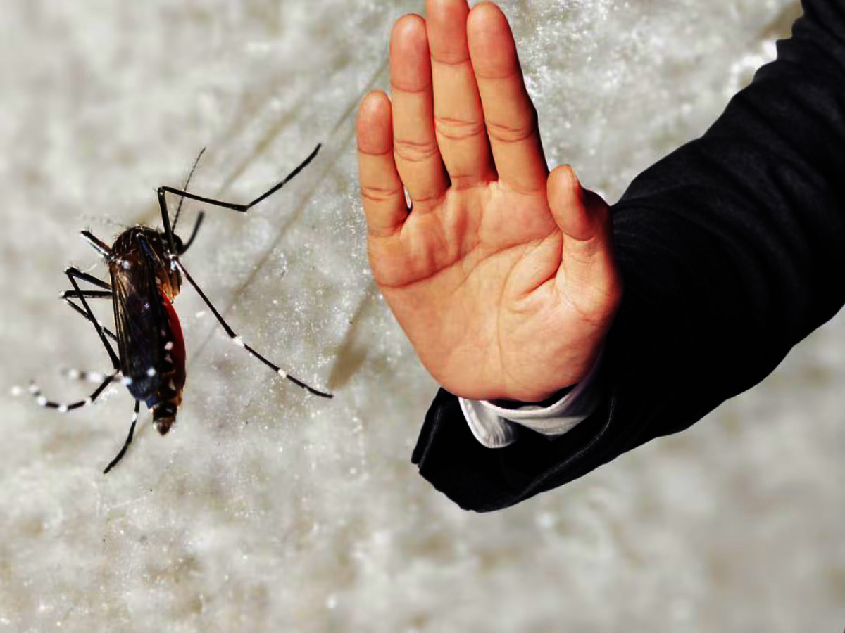 నిమ్మతో  దోమలను