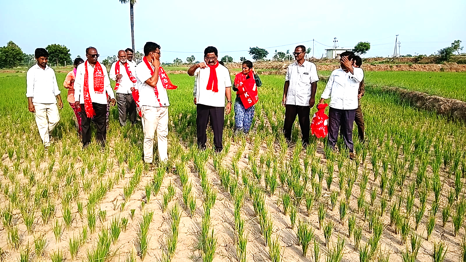 Crops sown during the Kharif season must be protected.