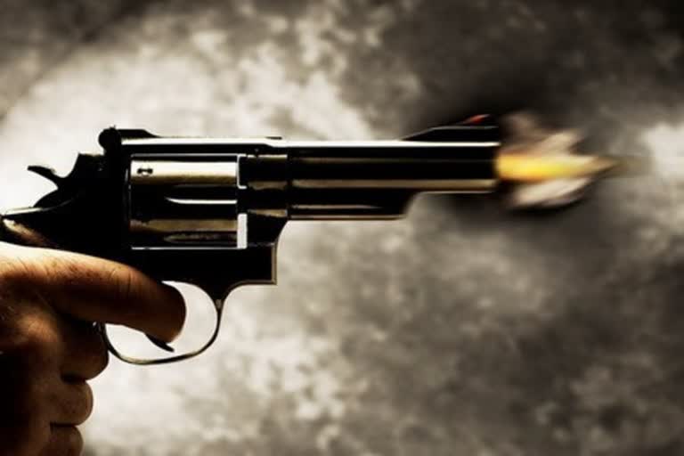 Constable's gun misfires during Defense Minister's visit