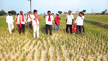 Crops sown during the Kharif season must be protected.