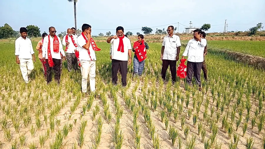 Crops sown during the Kharif season must be protected.