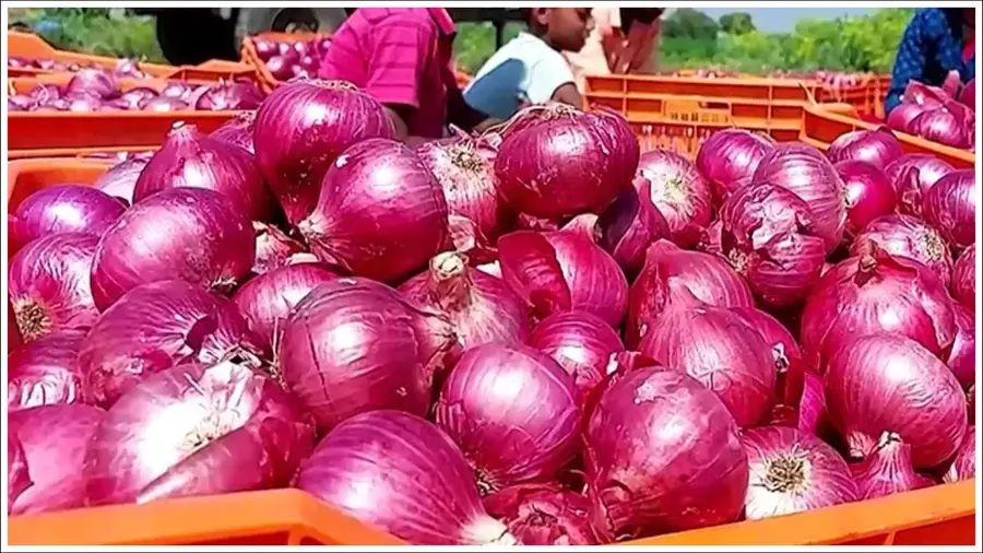 Onion prices are falling..!