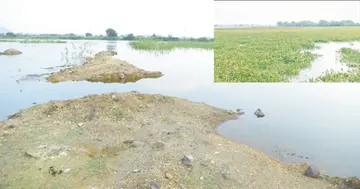 Bhadradri