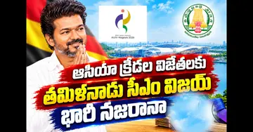 cm vijay